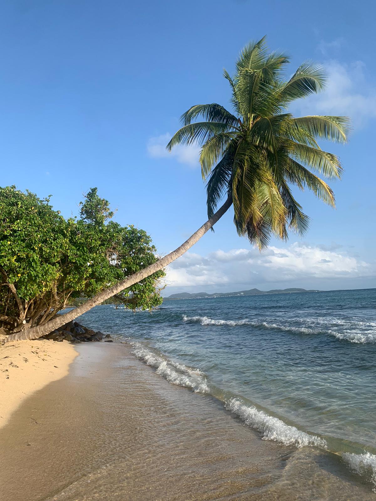 voyage martinique